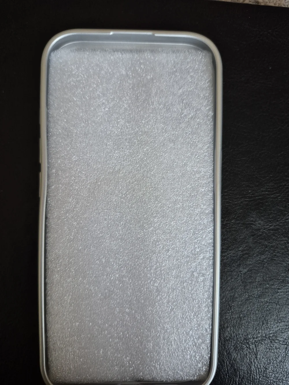 IPhone 17 Snake-Pattern Reptile Phone Case - Cream Silver